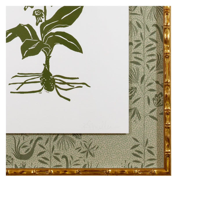 Botanical 039, Linocut {Green}