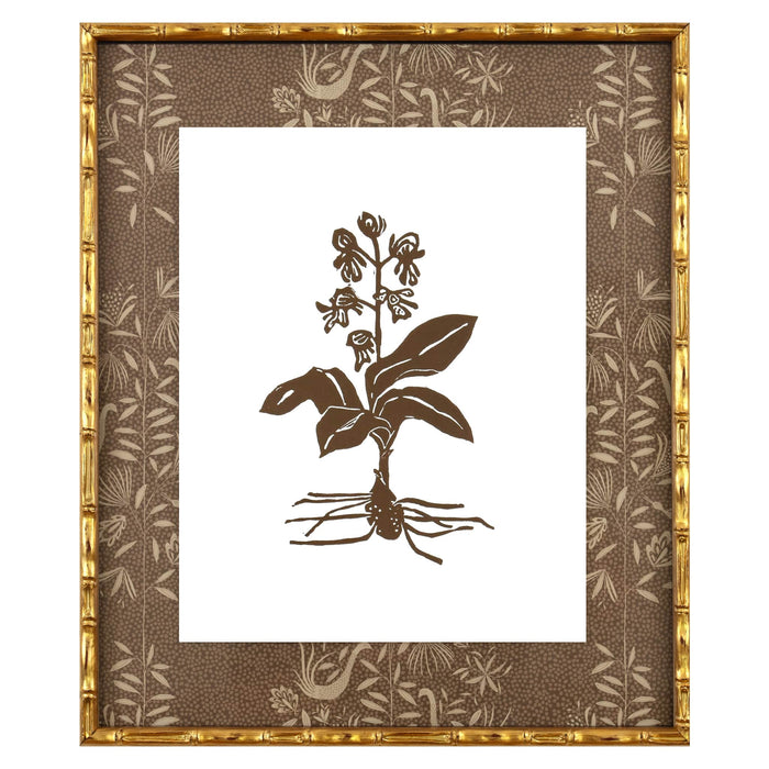 Botanical 039, Linocut {LeConte}