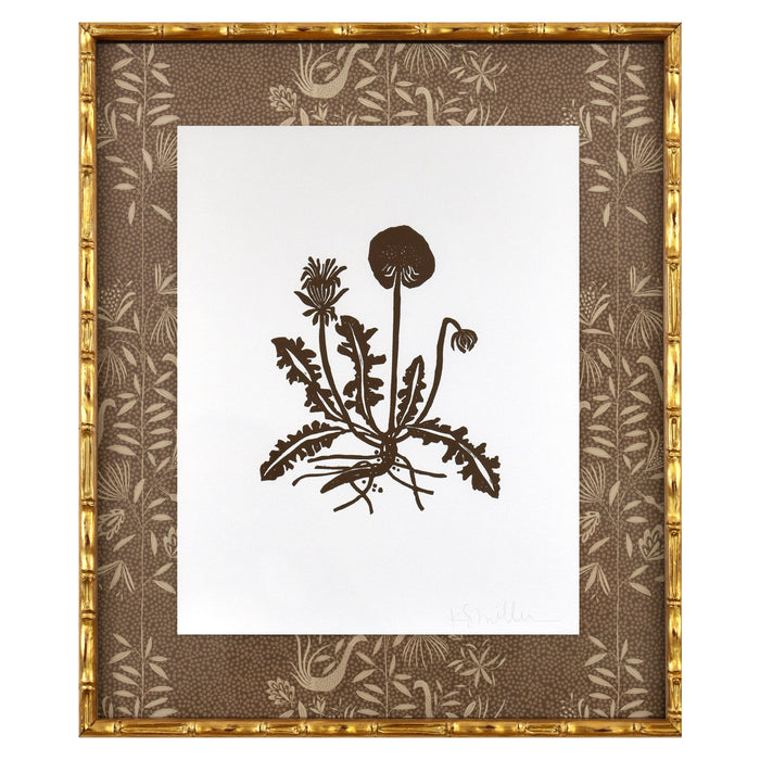 Botanical 052, Linocut {LeConte}