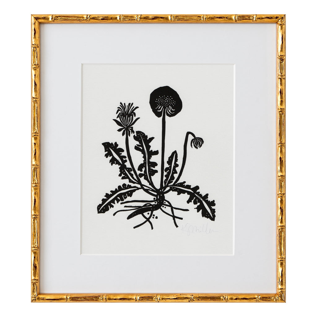 botanicalさま Anthurium Michelle Hot Pink '23' x Zara '14' by DocBlock® (wk2-R