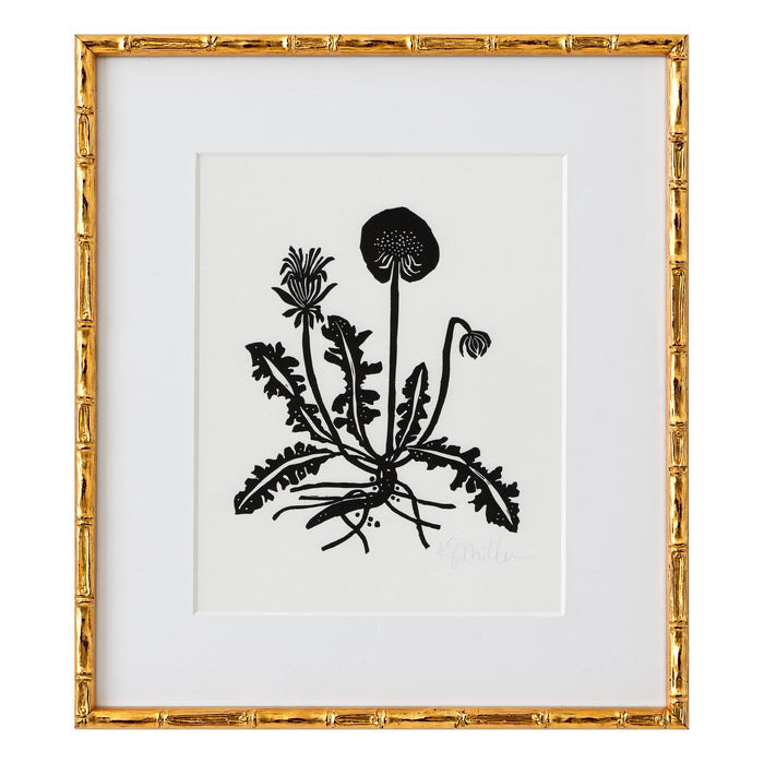 Katherine Stratton Botanical 052, Linocut– Katherine Stratton Miller