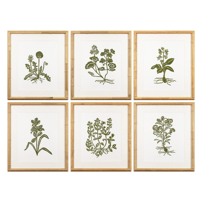 Botanical 066, Linocut {Green}