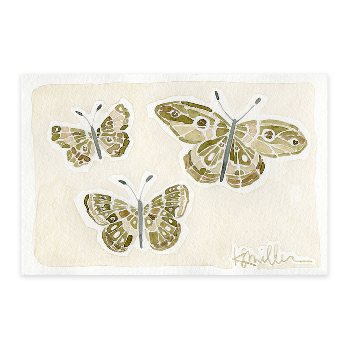 Butterflies 010