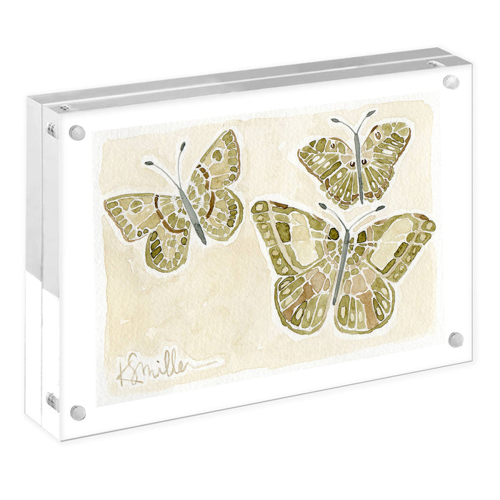 Butterflies 011