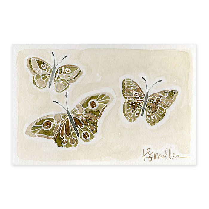 Butterflies 012