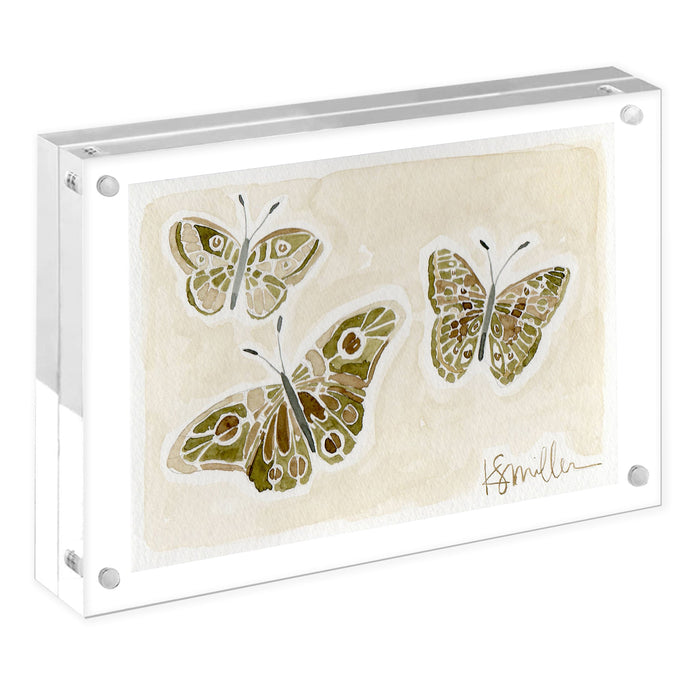 Butterflies 012