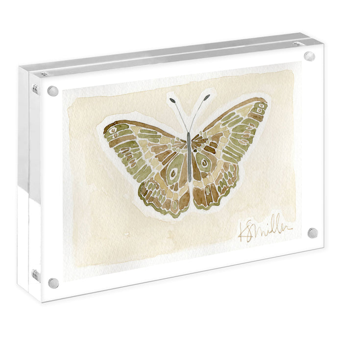 Butterflies 013