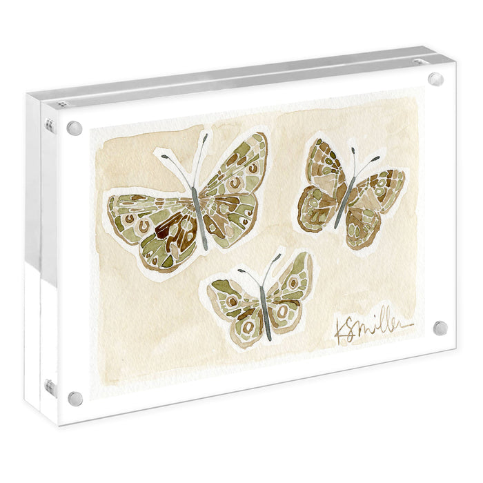 Butterflies 014