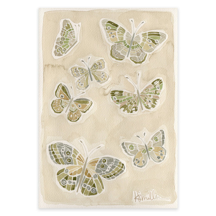 Butterflies 016