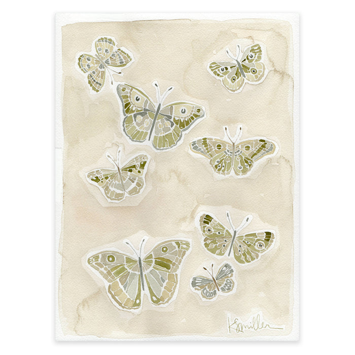 Butterflies 017