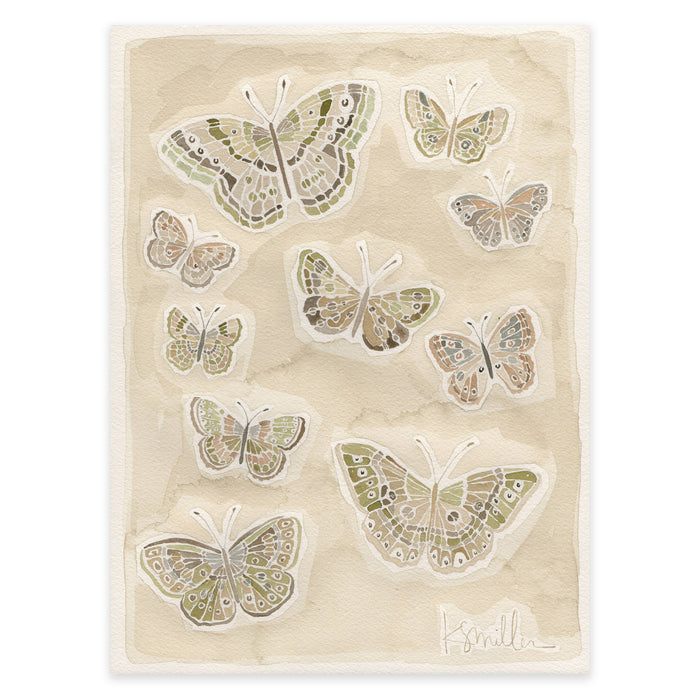 Butterflies 018