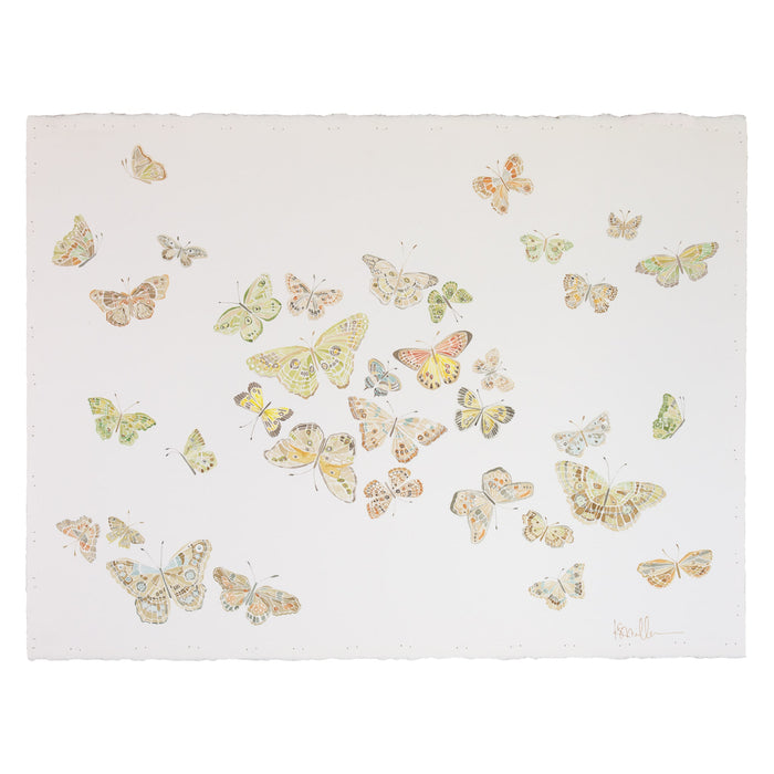 Butterflies 01
