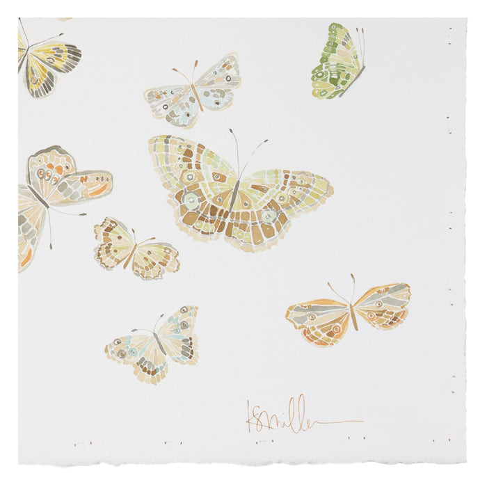 Butterflies 01