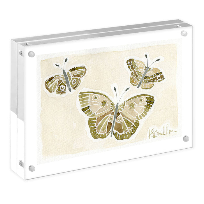 Butterflies 04