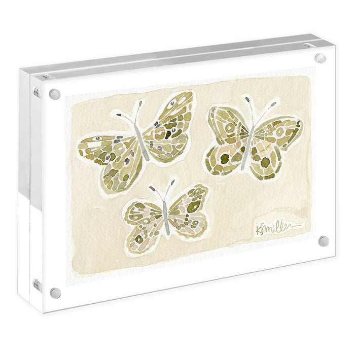 Butterflies 05