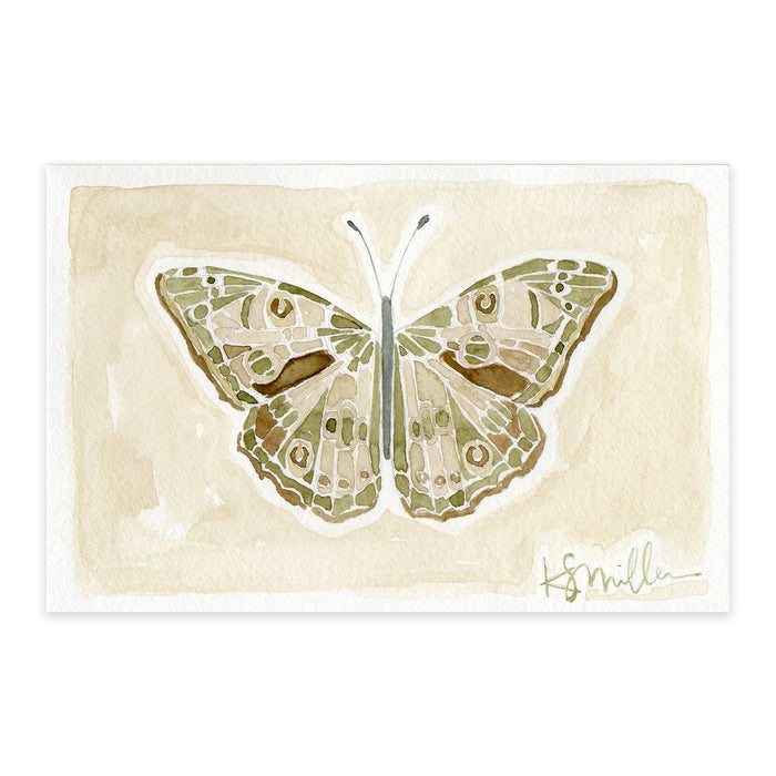 Butterflies 06