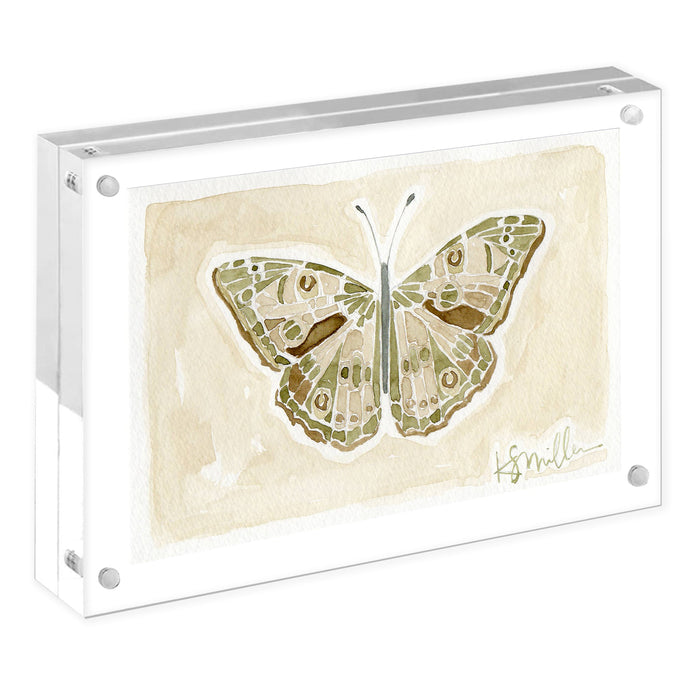 Butterflies 06