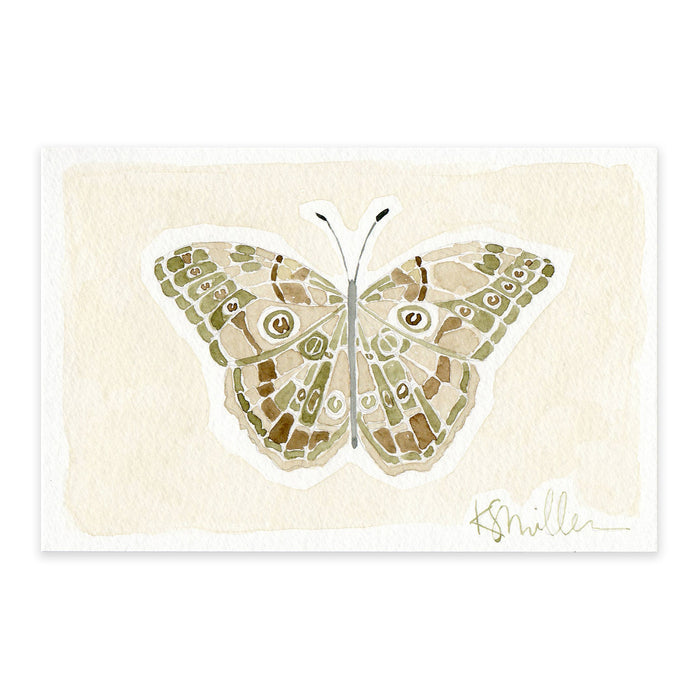 Butterflies 07