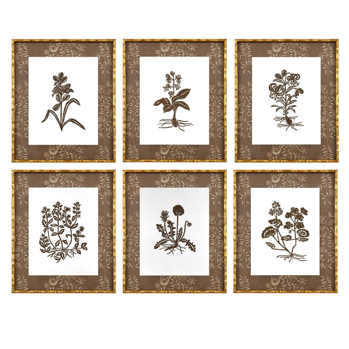 Botanical 027, Linocut {LeConte}