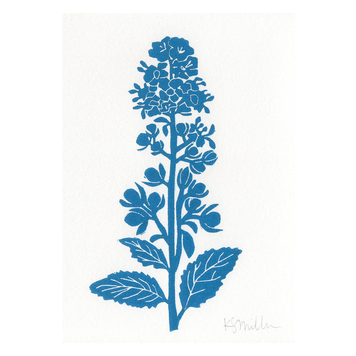 White Meadowsweet, Linocut