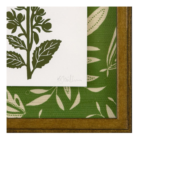 White Meadowsweet, Linocut {Green}